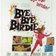 Bye Bye Birdie movie poster from the 1963 film