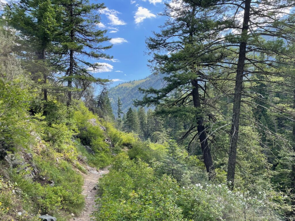 Mountain trail with beautiful view