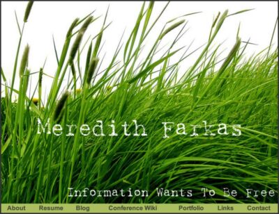 Original homepage of my blog, a closeup picture of green grass with Meredith Farkas Information Wants to be Free in white letters on top of it.