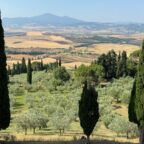 A valley in Tuscany with beautiful trees and farmland and a blue sky