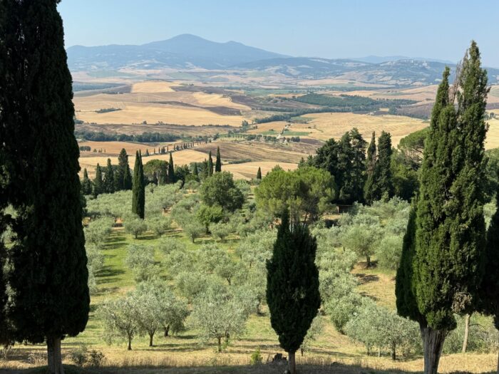A valley in Tuscany with beautiful trees and farmland and a blue sky